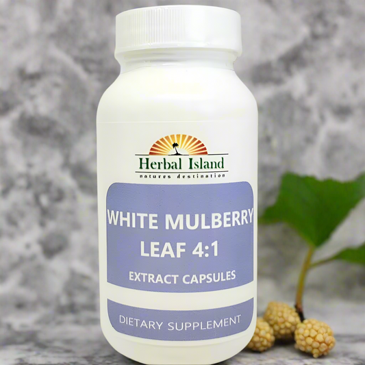 White Mulberry Leaf Extract 4:1 Capsules (500mg Each) - Herbal Island