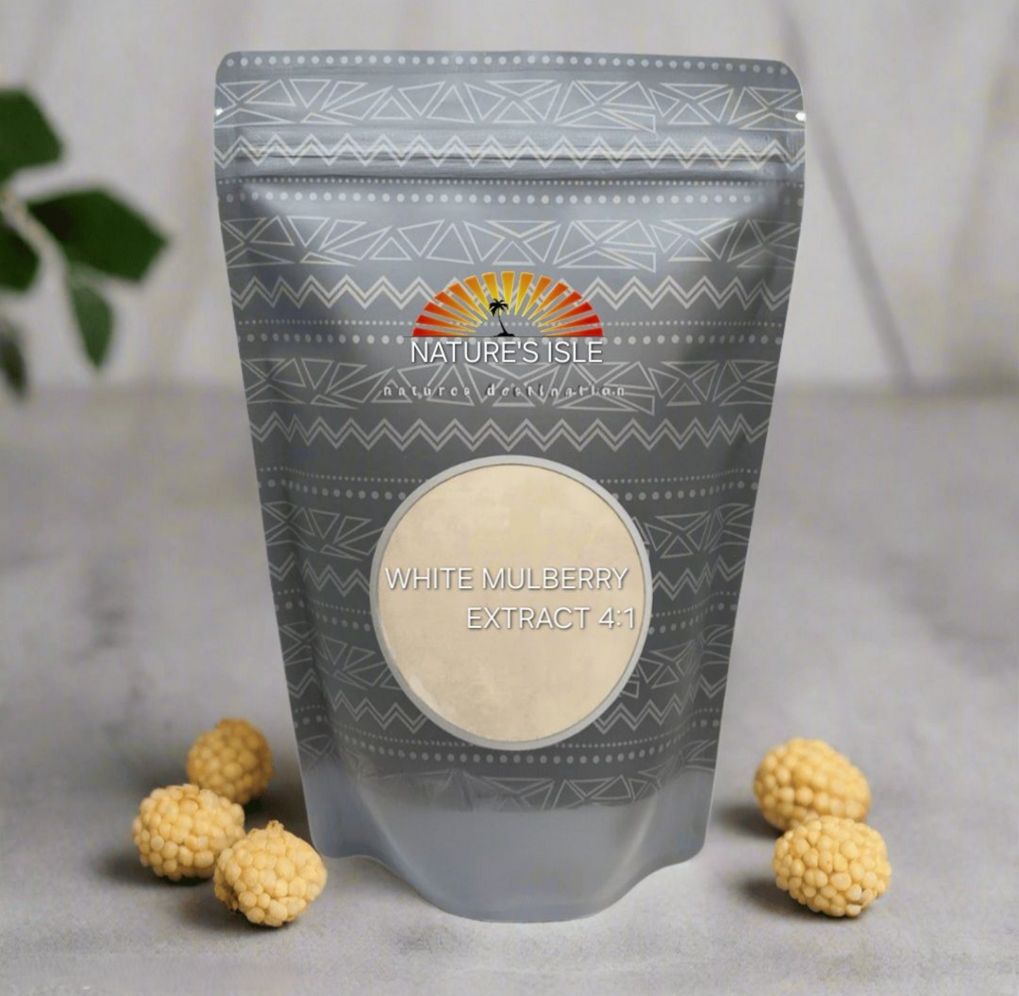 White Mulberry Leaf Extract 4:1 Powder