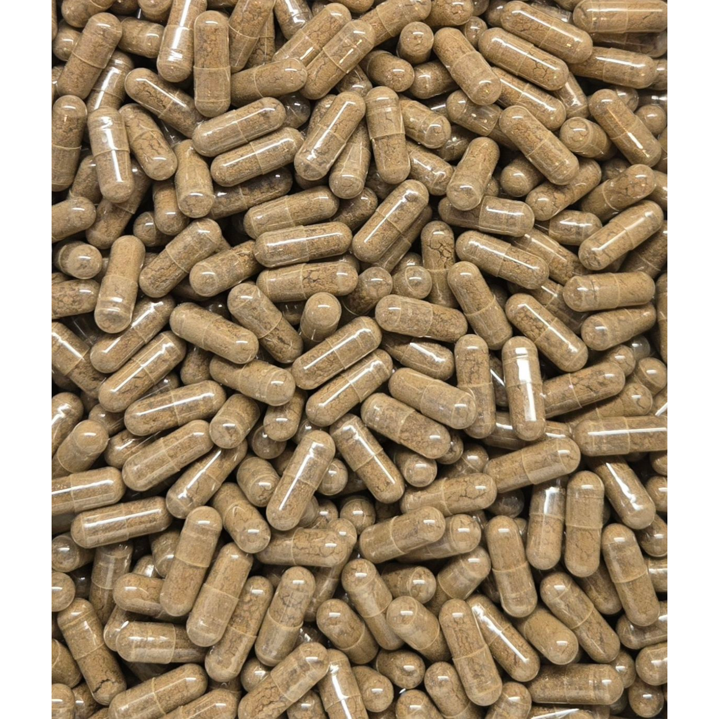 Mullein Leaf Capsules - Bulk