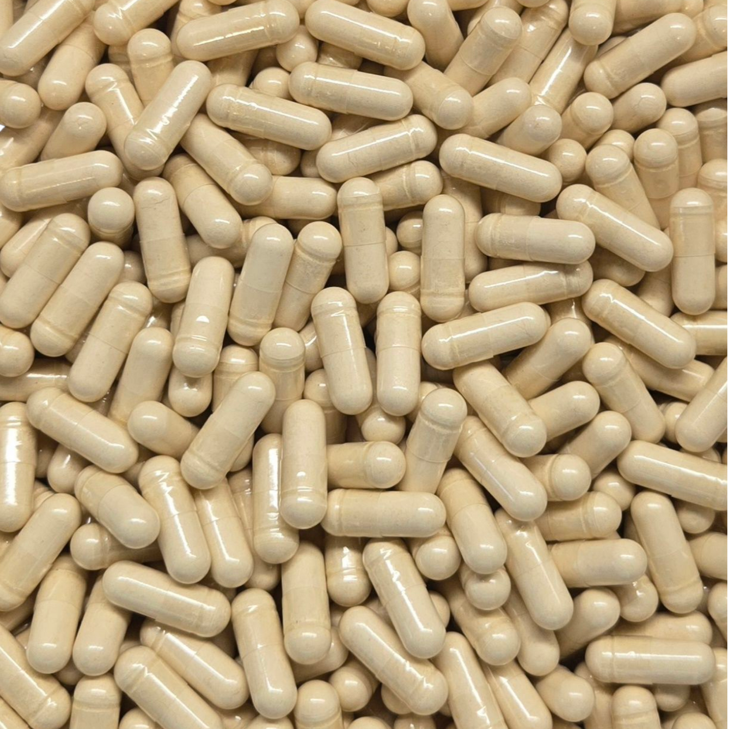 Red Maca Root  Capsules - Organic - Bulk