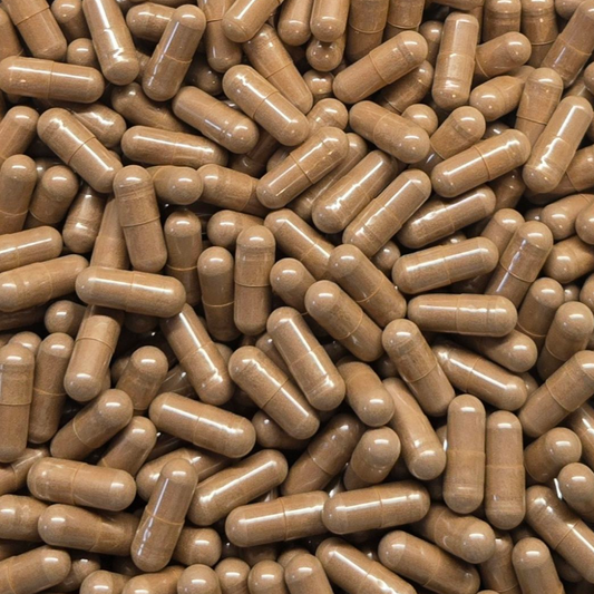 Reishi Mushroom Capsules Bulk (Ganoderma lucidum)