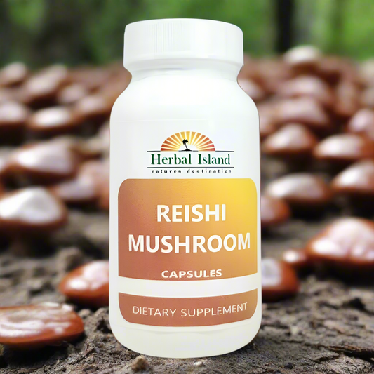 Reishi Mushroom Capsules (Ganoderma lucidum) - Herbal Island