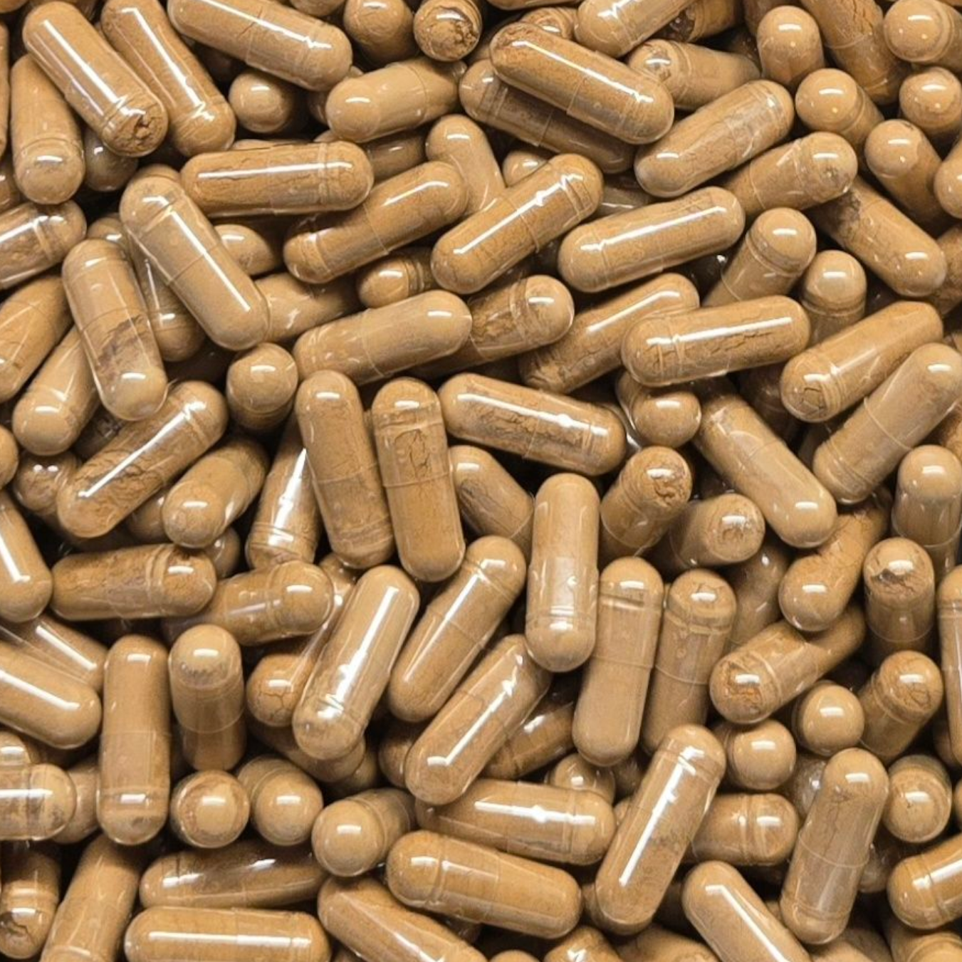 Reishi Mushroom Extract 10:1 Capsules Bulk (35% Polysaccharides)