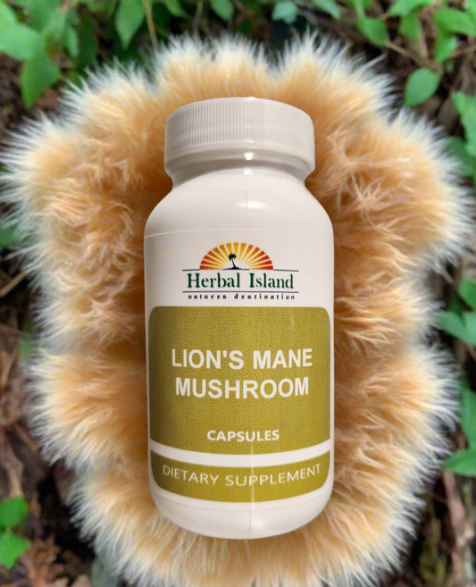 Lion's Mane Mushroom Capsules - Herbal Island