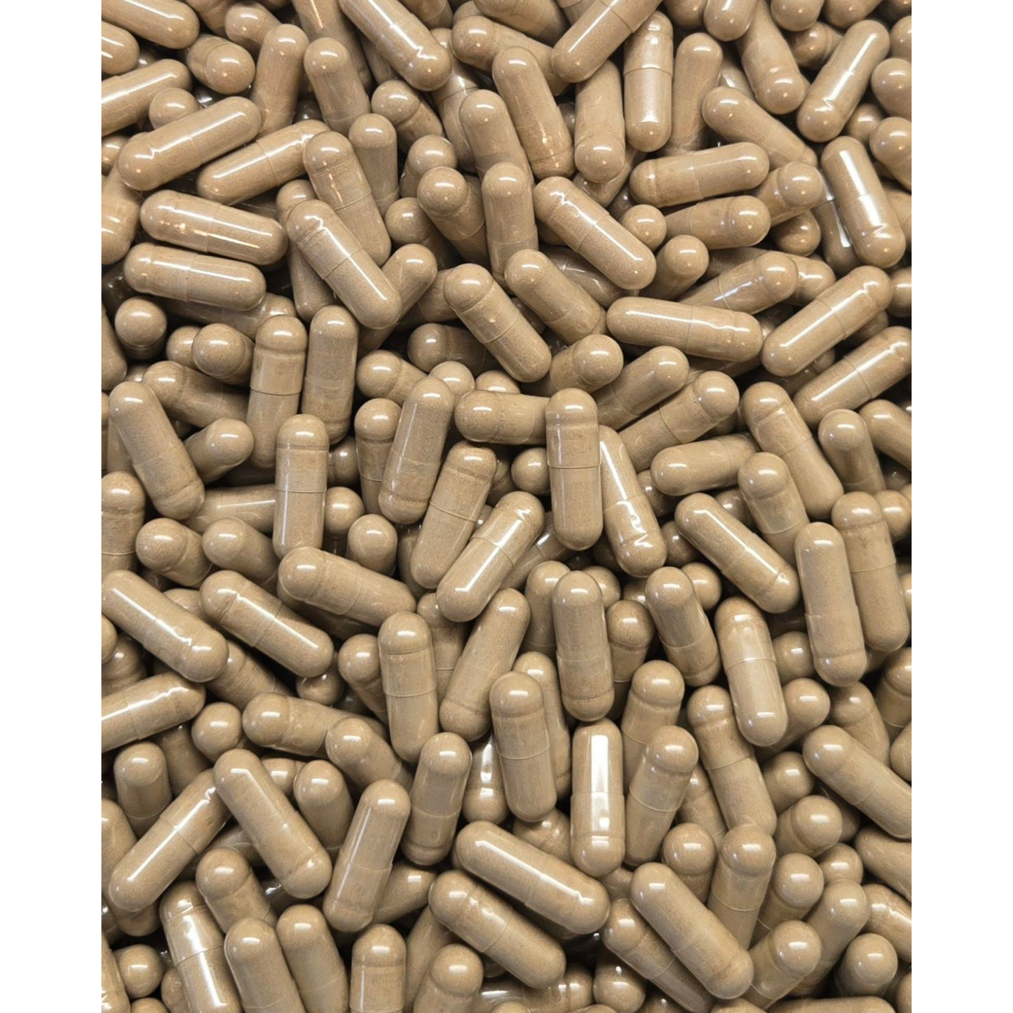 Blue Vervain Capsules