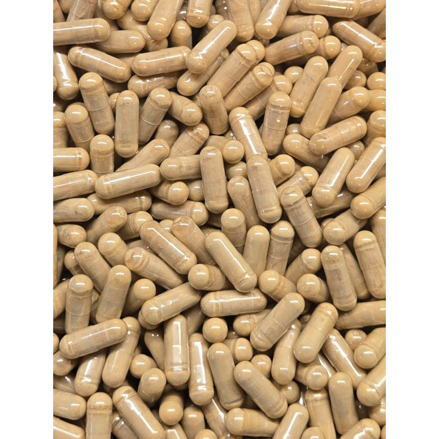 Milk Thistle Seed Powder Capsules 500mg