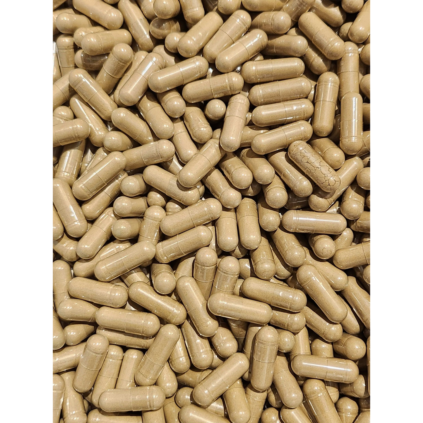 Tribulus Terrestris L Fruit Capsules - 45% Saponins - Bulk