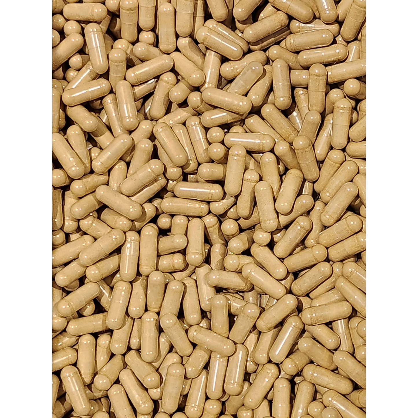 Reishi Mushroom Capsules Bulk (Ganoderma lucidum)