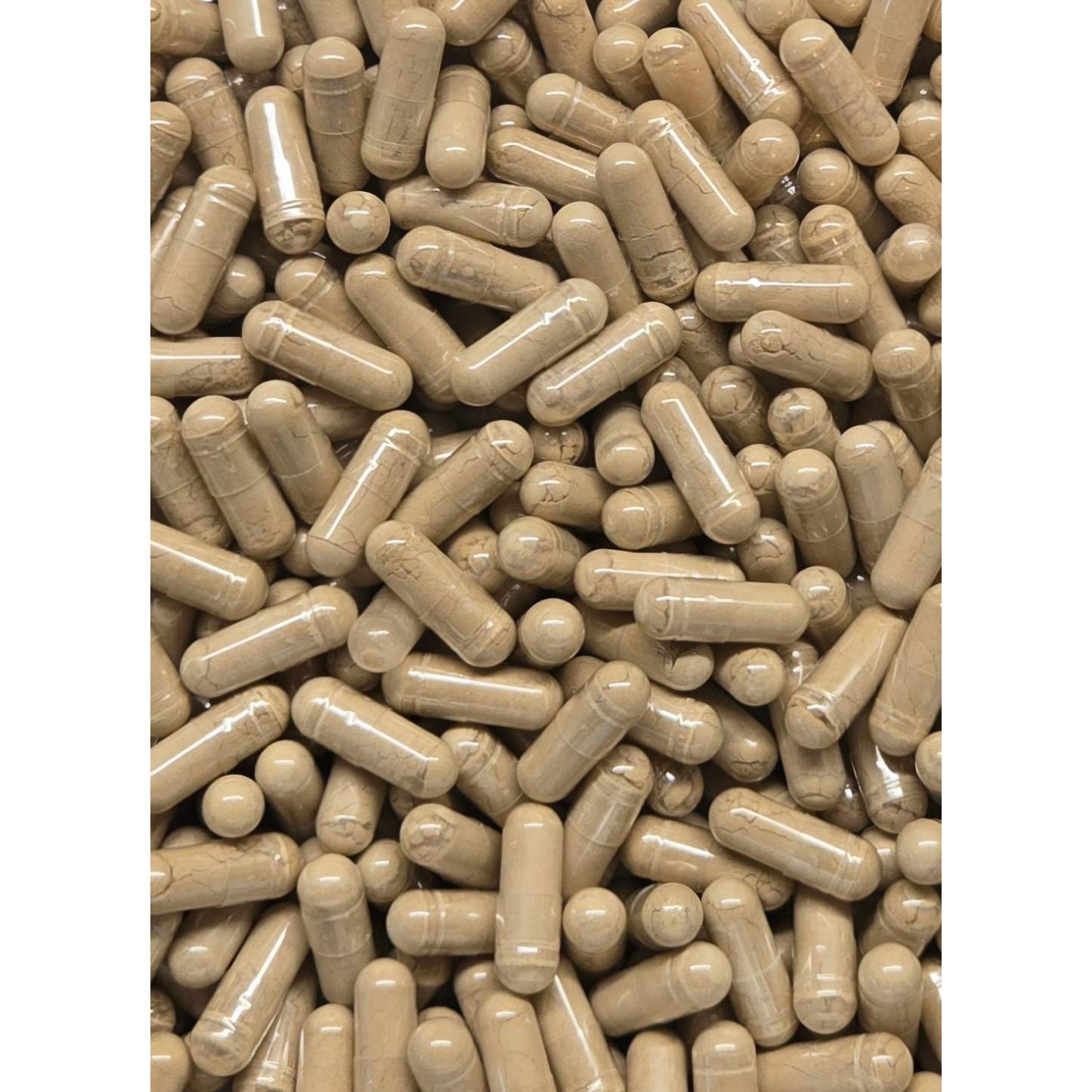 Mucuna Pruriens - Extract Capsules 20% L-Dopa Velvet Bean