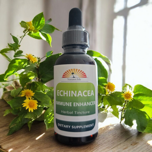 Echinacea Herb Extract -  Immune Support for Cold & Flu - Alcohol Free - Herbal Island