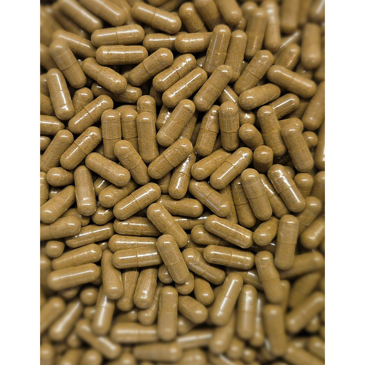 Wormwood Capsules