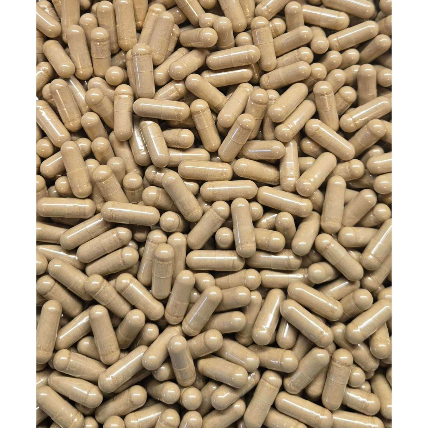 Bladderwrack Capsules