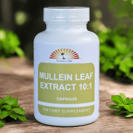 Mullein Leaf Extract 10:1 Capsules