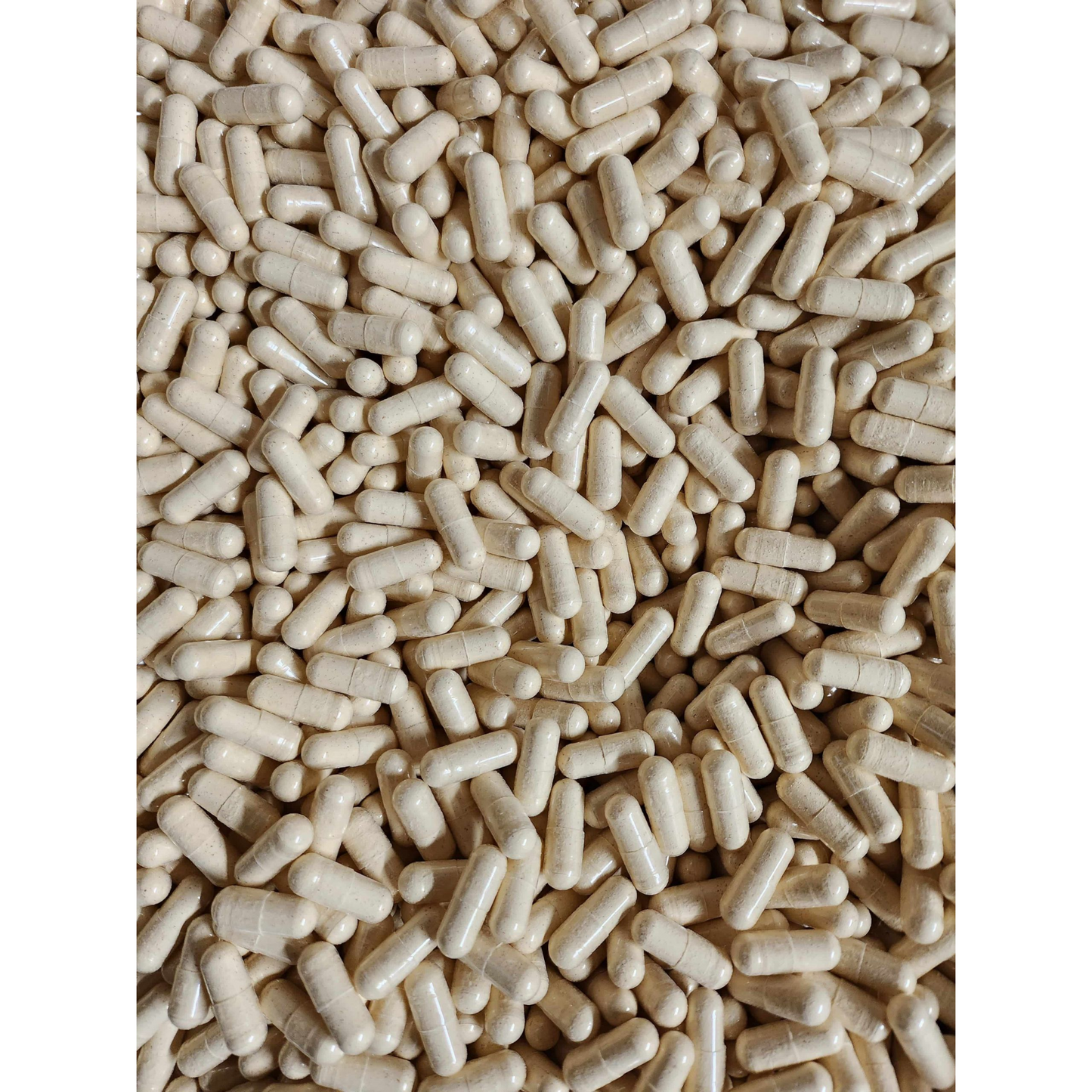 Lion's Mane Mushroom Capsules - Bulk