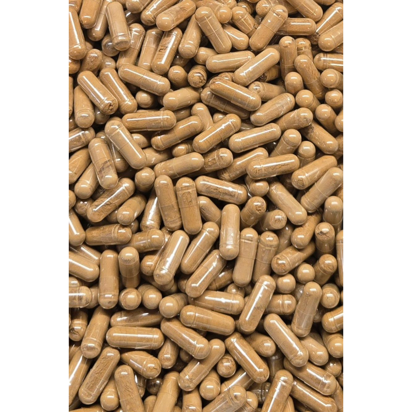 Reishi Mushroom Extract 10:1 Capsules (35% Polysaccharides)