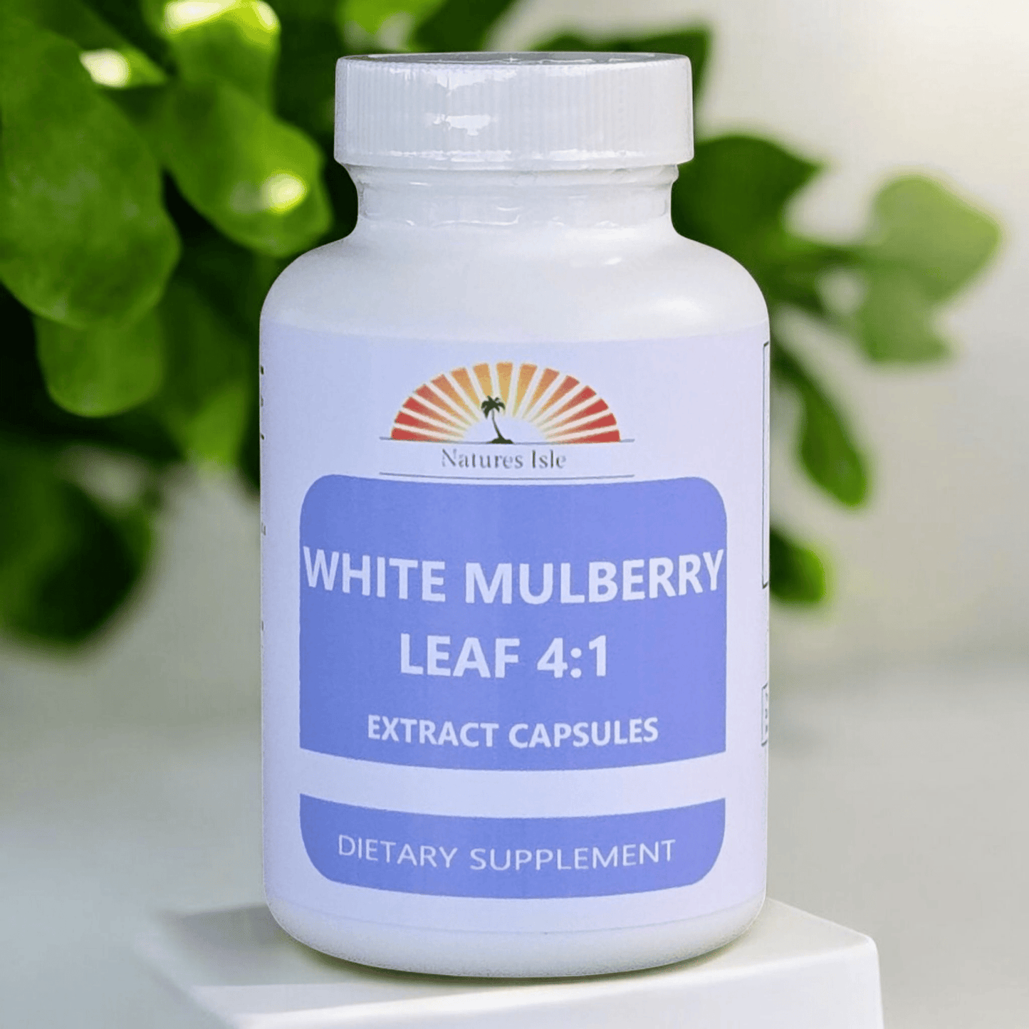 White Mulberry Leaf Extract 4:1 Capsules (500mg Each)