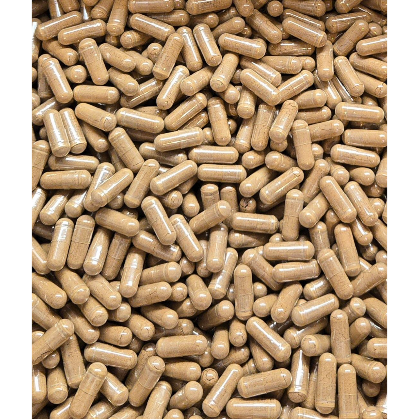 Mushroom 10X Blend Formula - 60 Capsules