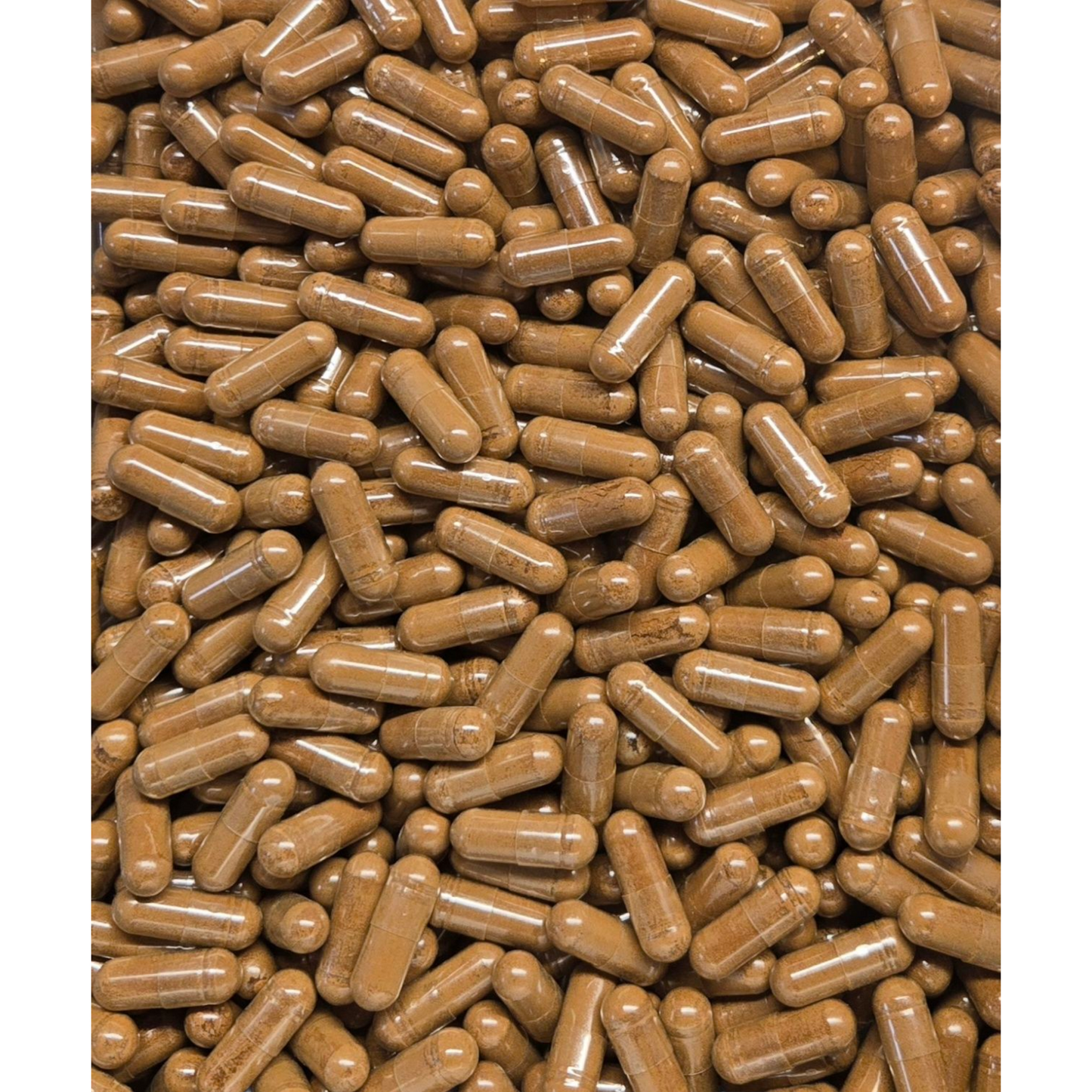 Shilajit Extract 20% Capsules - Bulk