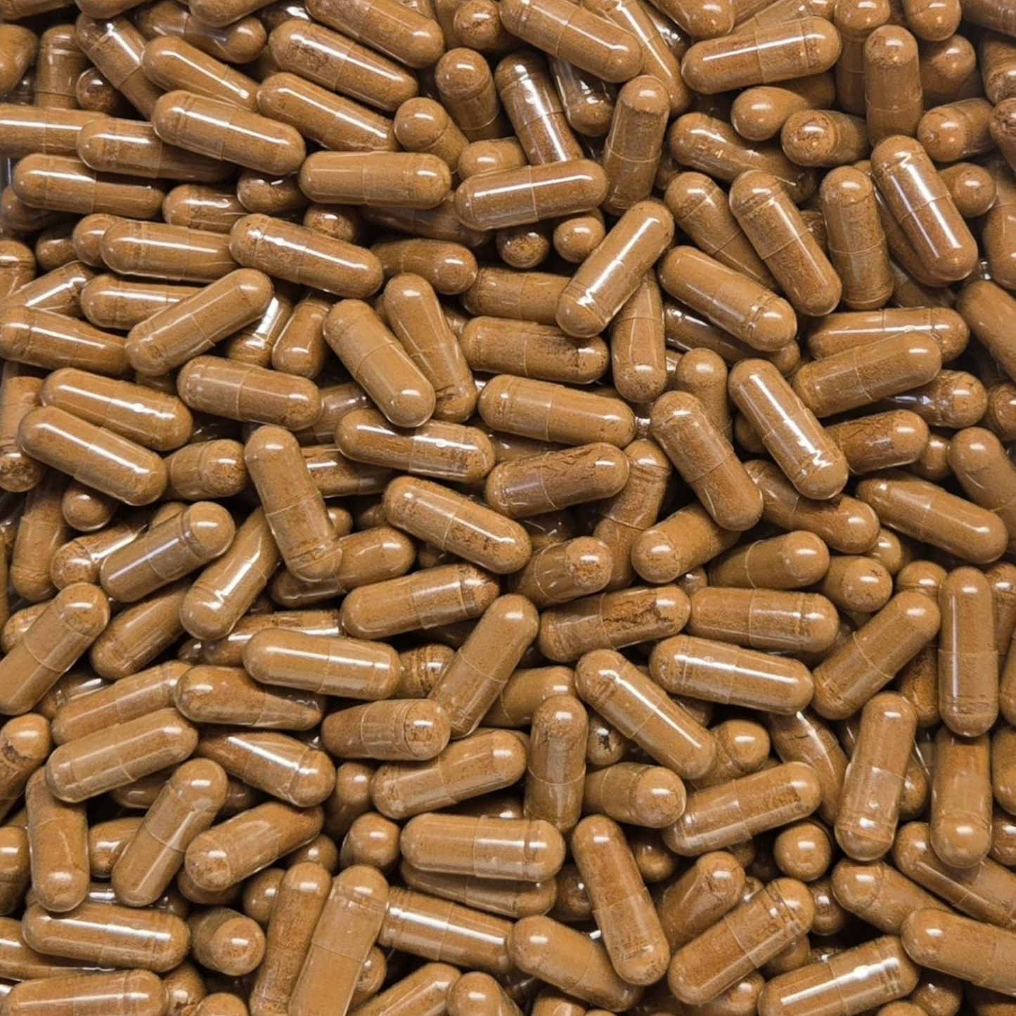 Shilajit Extract 20% Capsules - Bulk