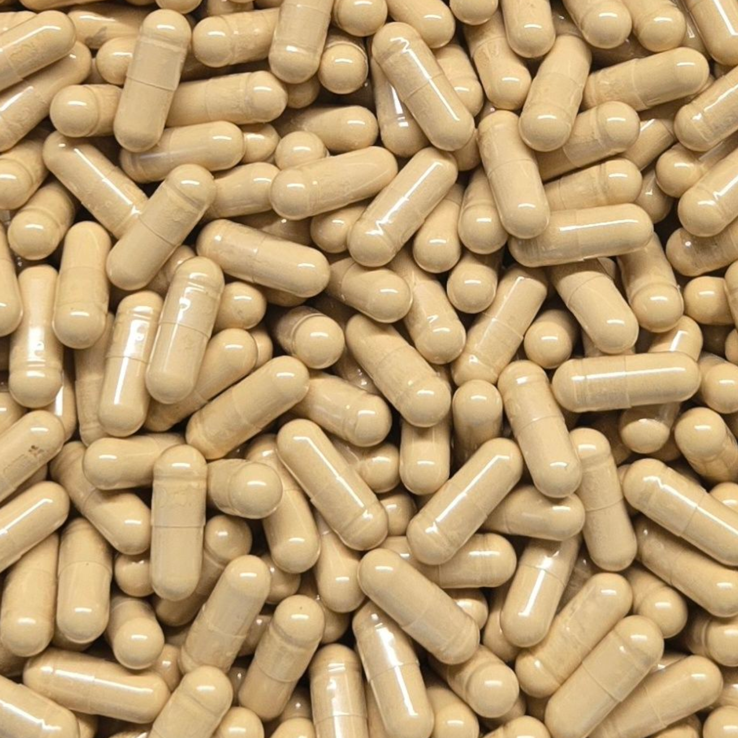 Tongkat Ali 200:1 Root Extract Capsules Bulk (Longjack)