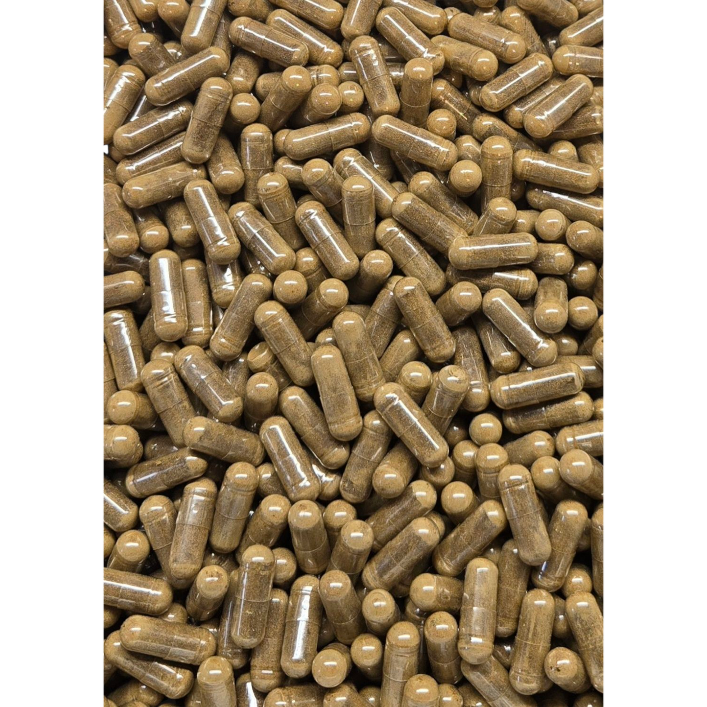 Tribulus Terrestris L Fruit Capsules - 45% Saponins - Bulk