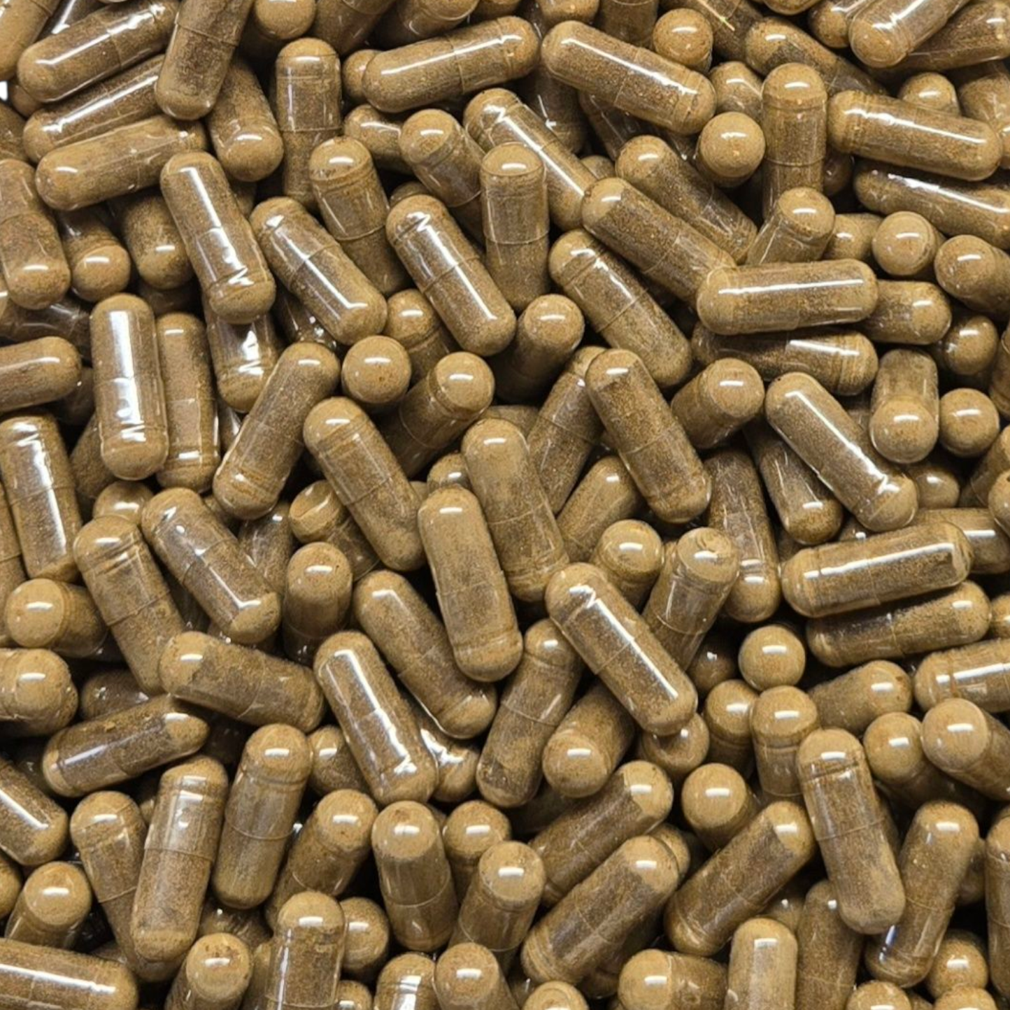 Tribulus Terrestris L Fruit Capsules - 45% Saponins - Bulk