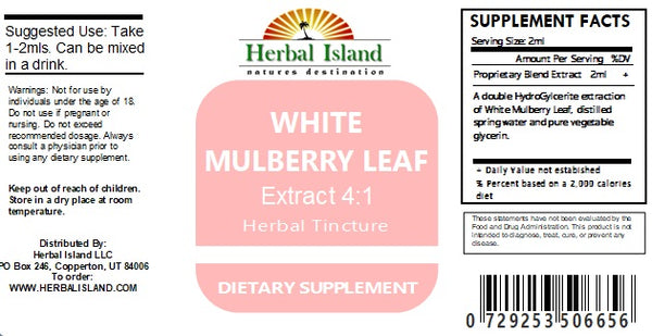 White Mulberry Leaf Extract 4:1 Tincture