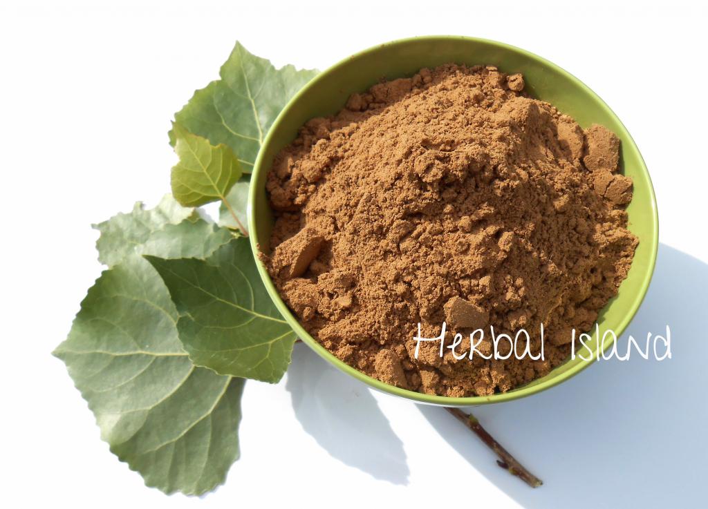 Reishi Mushroom Extract 101 Powder 35 Polysaccharides Herbal Island 4568