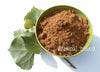 Reishi Mushroom Extract 10:1 Powder 35% Polysaccharides