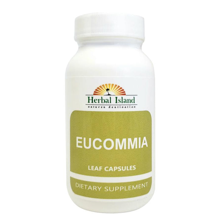 Eucommia Leaf Powder Capsules (500mg Each)