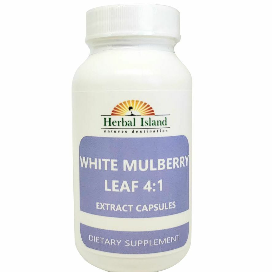 White Mulberry Leaf Extract 4:1 Capsules (500mg Each) - Herbal Island